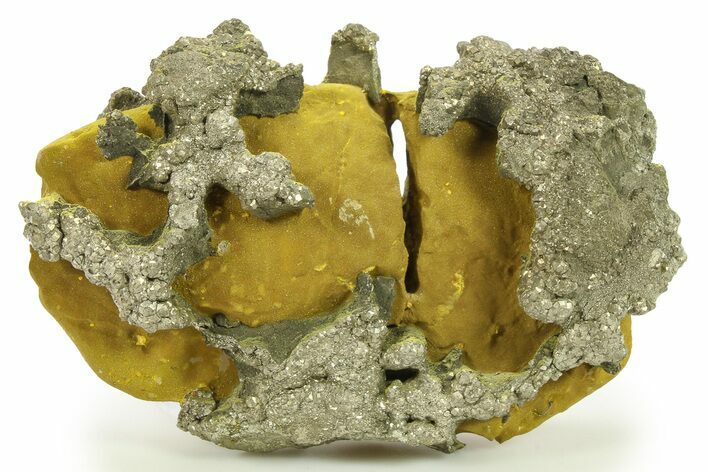 Golden Pyrite on Limonite Clay - Pakistan #283737